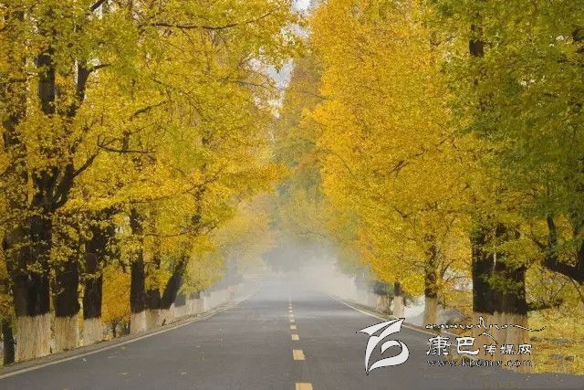 康定新都橋，有一條黃金大道通往夢中的天堂