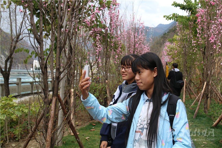 春光俏！“醉”是瀘定春三月，踏青賞花正當(dāng)時