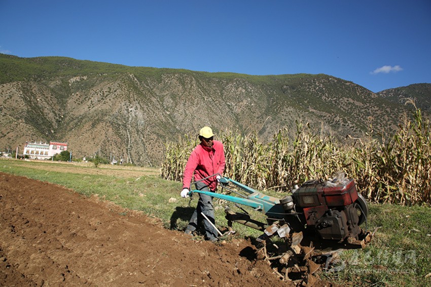 田園藏鄉(xiāng)美如畫(huà)，百姓脫貧喜在心