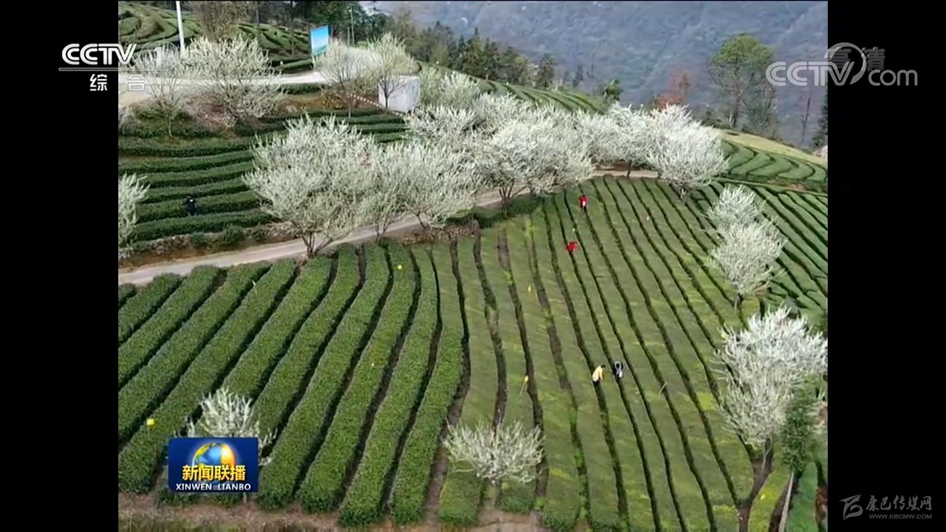 00000000.jpg 00000000.jpg