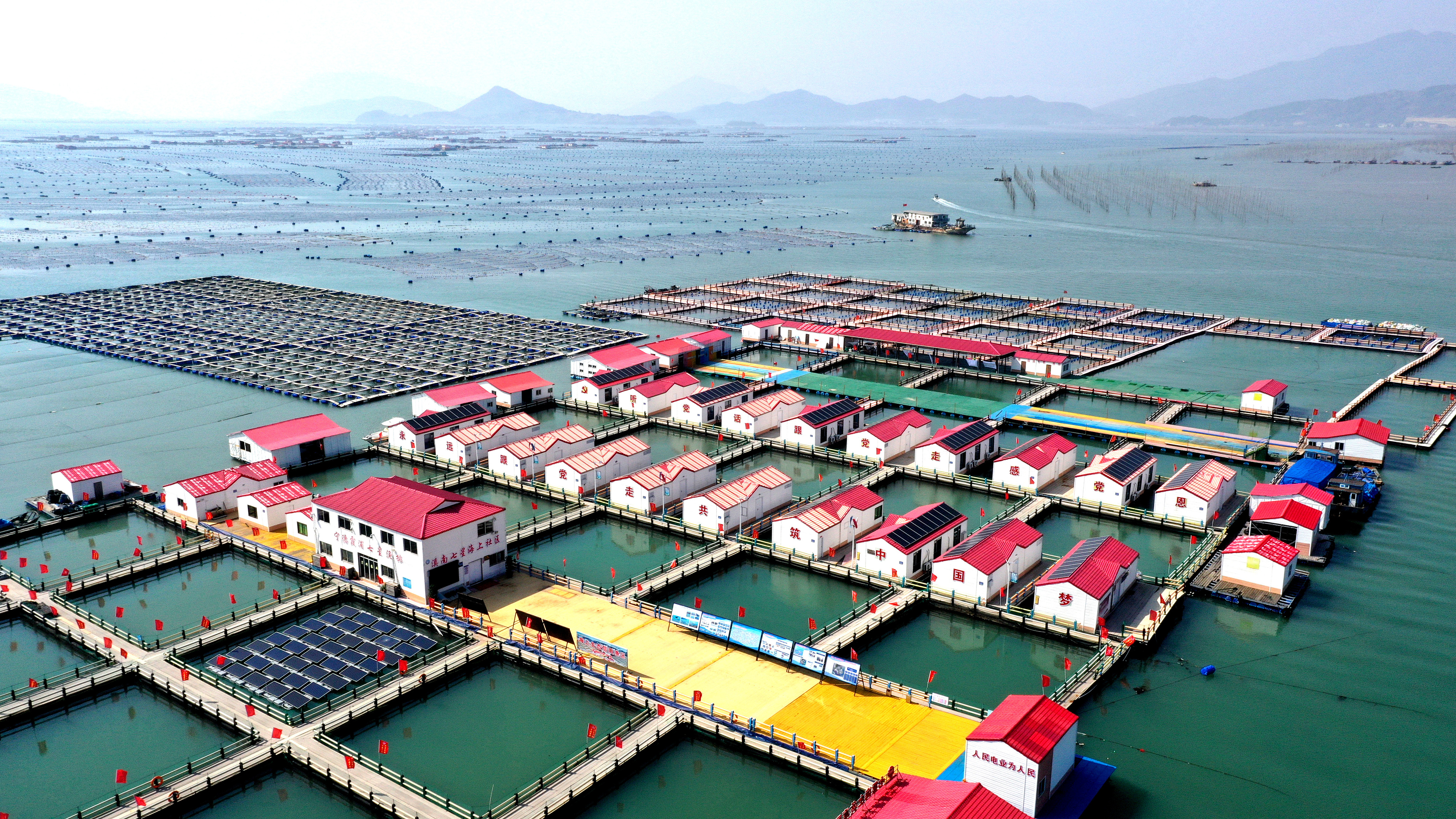 2024年3月20日，福建省寧德市，霞浦縣溪南鎮(zhèn)七星村漁排養(yǎng)殖示范區(qū)，漁民駕駛養(yǎng)殖船進(jìn)行海參養(yǎng)殖作業(yè)。