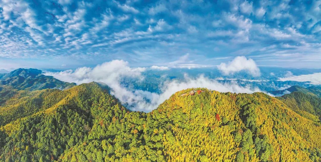 　三明森林生態(tài)環(huán)境優(yōu)美。